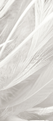 Store intérieur en plumes