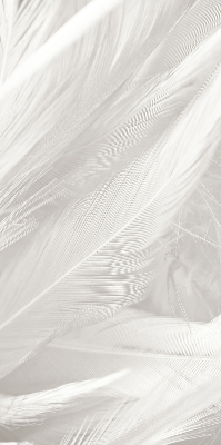 Store intérieur en plumes