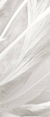 Store intérieur en plumes