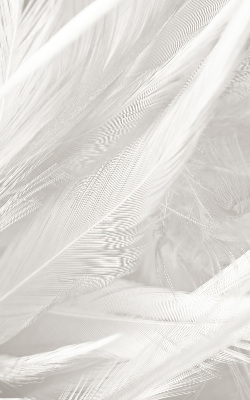 Store intérieur en plumes