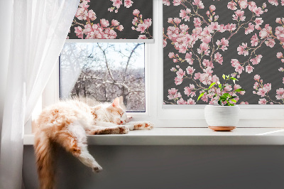 Store intérieur fenêtre pour fleurs de l'arbre