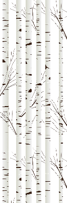 Bouleaux de décoration pour fenêtre intérieur