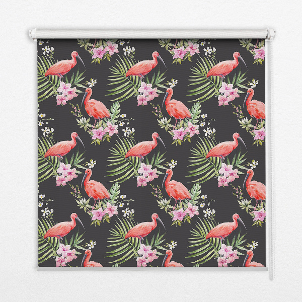 Store intérieur fenêtre avec flamants roses sur les plantes