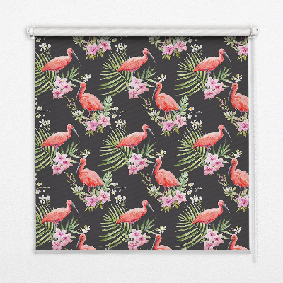 Store intérieur fenêtre avec flamants roses sur les plantes