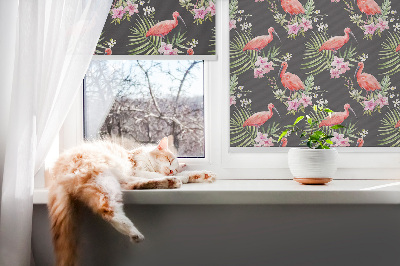 Store intérieur fenêtre avec flamants roses sur les plantes