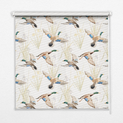 Store enrouleur avec canards volants