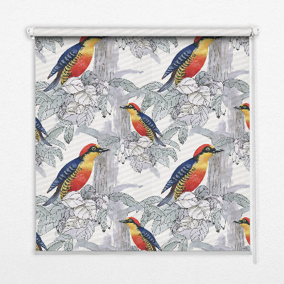 Store intérieur fenêtre avec oiseau coloré