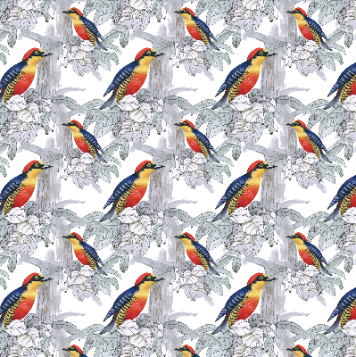 Store intérieur fenêtre avec oiseau coloré