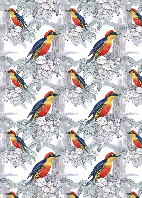 Store intérieur fenêtre avec oiseau coloré