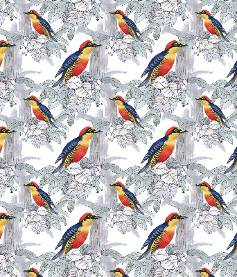 Store intérieur fenêtre avec oiseau coloré