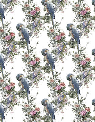 Store intérieur fenêtre avec perroquets sur des fleurs