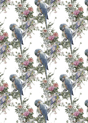Store intérieur fenêtre avec perroquets sur des fleurs