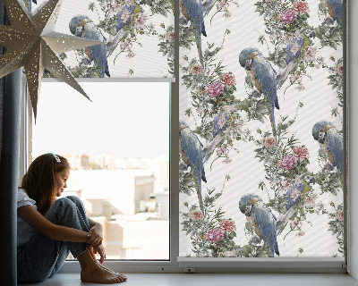 Store intérieur fenêtre avec perroquets sur des fleurs