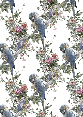 Store intérieur fenêtre avec perroquets sur des fleurs
