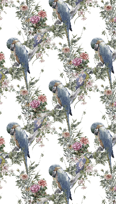Store intérieur fenêtre avec perroquets sur des fleurs