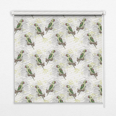 Store intérieur fenêtre avec motif de perroquets sur une branche