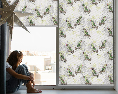 Store intérieur fenêtre avec motif de perroquets sur une branche
