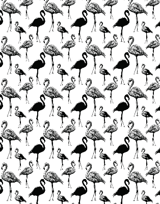 Store intérieur fenêtre avec flamants roses noirs