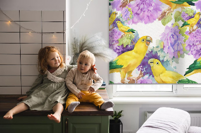 Store intérieur fenêtre avec motif perroquets jaunes