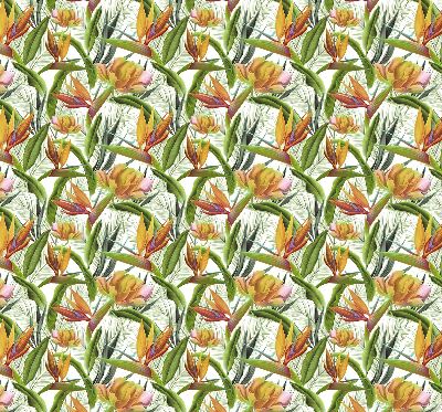 Store enrouleur pour plantes exotiques