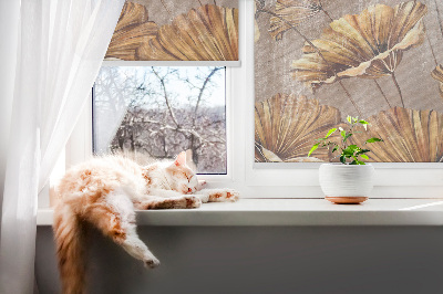 Plantes d’intérieur pour fenêtre