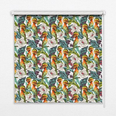 Store intérieur avec motif d'oiseaux et de fleurs