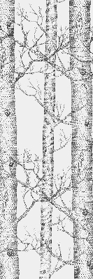 Coffres d’intérieur pour fenêtre