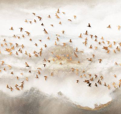 Store intérieur fenêtre avec un groupe d'oiseaux