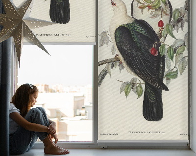 Store intérieur fenêtre avec motif d’oiseaux sur une branche