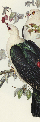 Store intérieur fenêtre avec motif d’oiseaux sur une branche