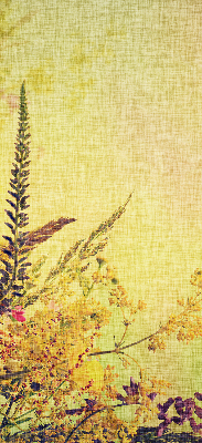 Plantes pour intérieur et fenêtre