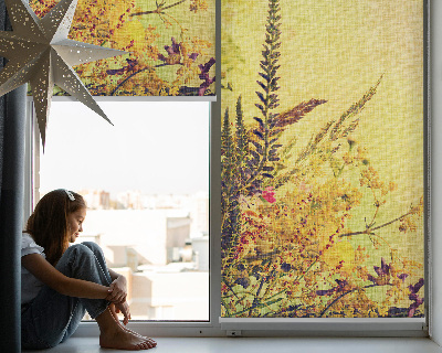 Plantes pour intérieur et fenêtre
