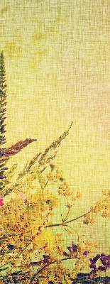 Plantes pour intérieur et fenêtre