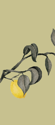 Store enrouleur avec des citrons sur l’arbre