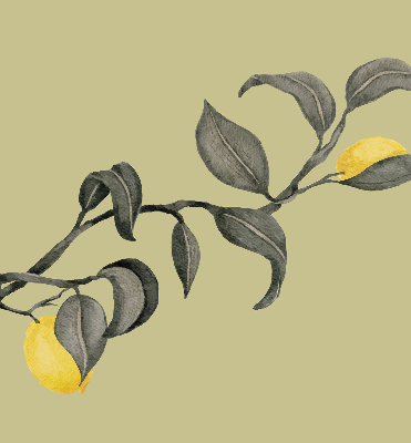 Store enrouleur avec des citrons sur l’arbre