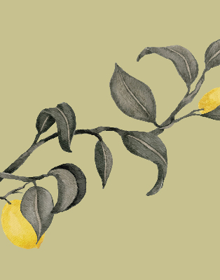 Store enrouleur avec des citrons sur l’arbre