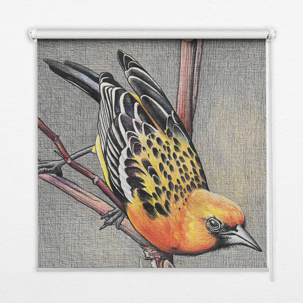 Store enrouleur avec motif d’un oiseau sur une branche