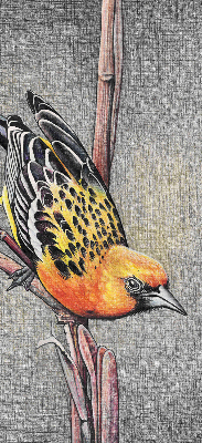 Store enrouleur avec motif d’un oiseau sur une branche