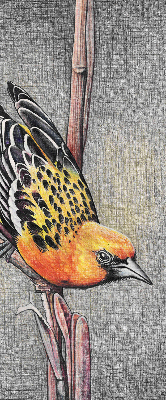 Store enrouleur avec motif d’un oiseau sur une branche