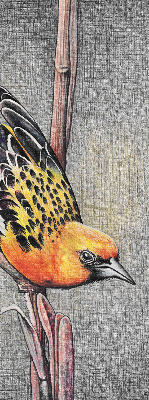 Store enrouleur avec motif d’un oiseau sur une branche