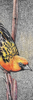 Store enrouleur avec motif d’un oiseau sur une branche