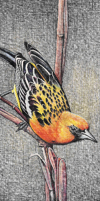 Store enrouleur avec motif d’un oiseau sur une branche
