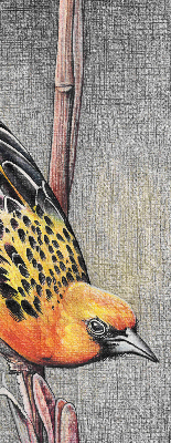 Store enrouleur avec motif d’un oiseau sur une branche