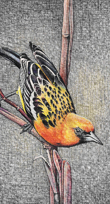 Store enrouleur avec motif d’un oiseau sur une branche
