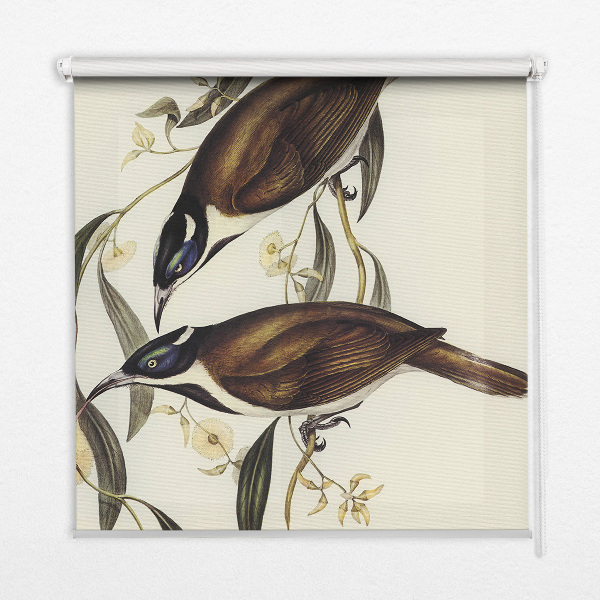 Store intérieur avec motif d’oiseaux sur un arbre