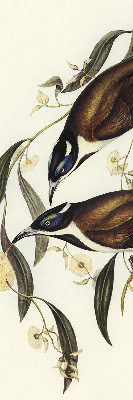 Store intérieur avec motif d’oiseaux sur un arbre