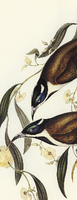 Store intérieur avec motif d’oiseaux sur un arbre