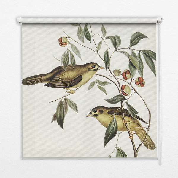 Store enrouleur oiseaux sur un arbre