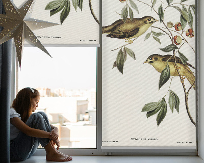 Store enrouleur oiseaux sur un arbre