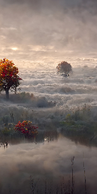 Store intérieur fenêtre avec motif d'arbres dans le brouillard